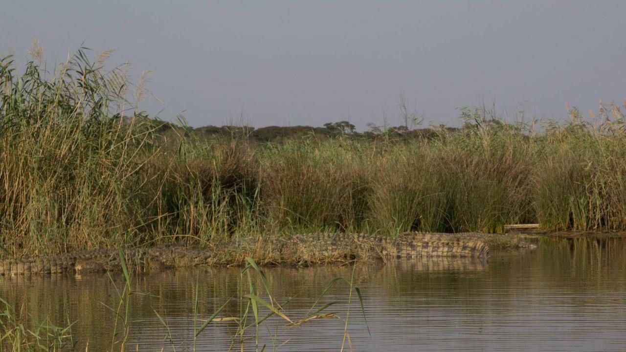 Saint Lucia Estuary 非洲氛围旅馆酒店 外观 照片
